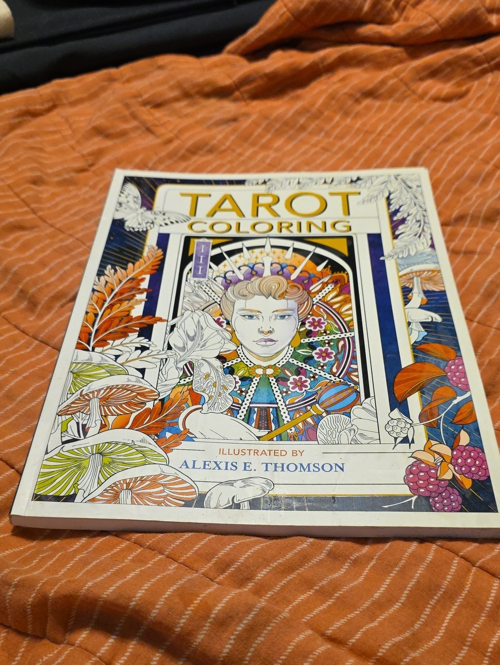 Tarot Coloring Book Illustrated by Alexis E. Thomson - Multicolor